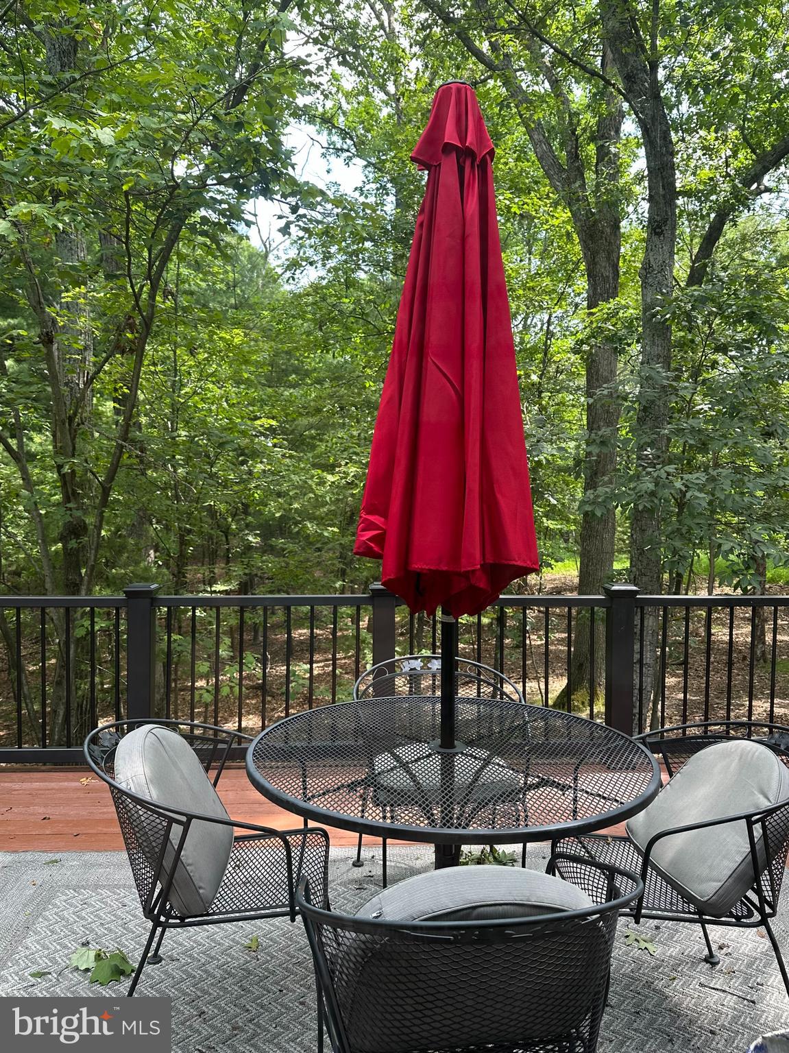 228 Rising Sun Road Hedgesville, WV 25427 - Photo 8 of 22