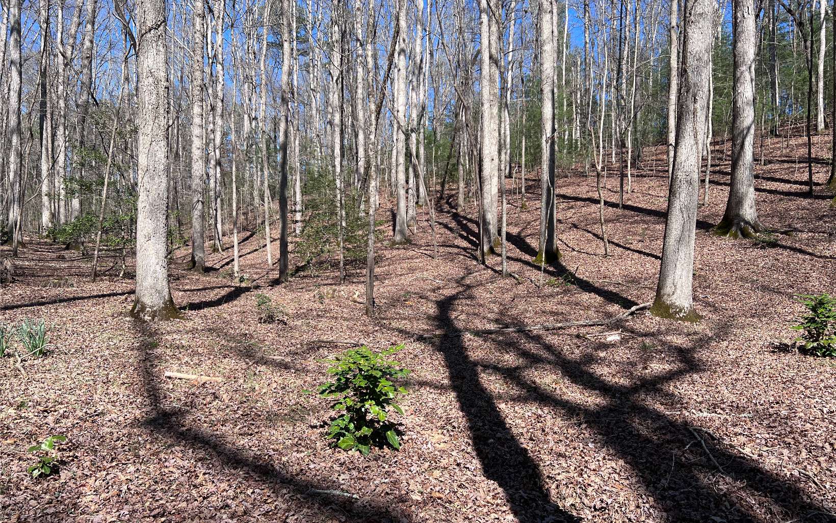 22 East Goldmine Road Ellijay, GA 30536 - Photo 11 of 40 Additional View