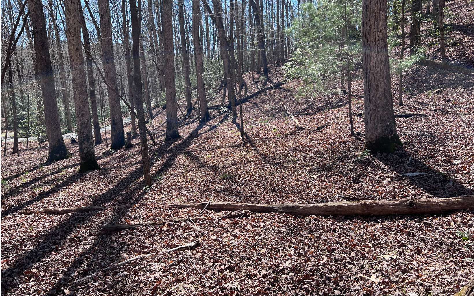 22 East Goldmine Road Ellijay, GA 30536 - Photo 12 of 40 Additional View