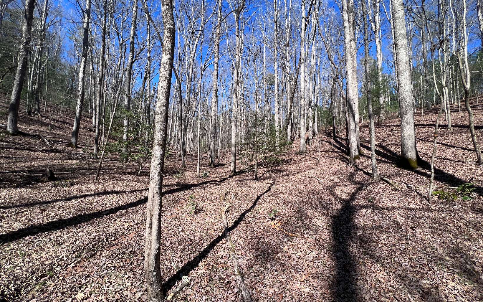 22 East Goldmine Road Ellijay, GA 30536 - Photo 14 of 40 Additional View