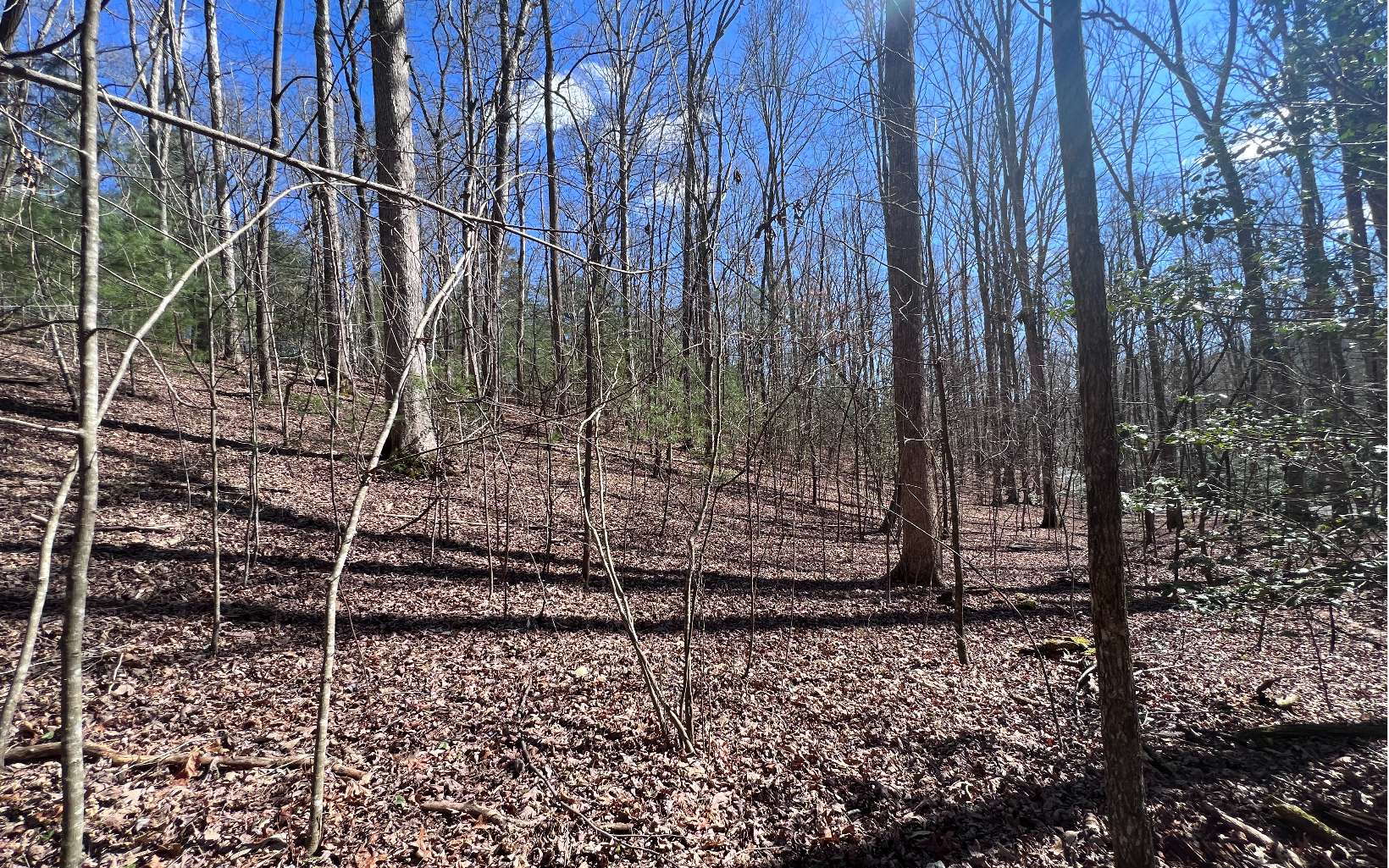22 East Goldmine Road Ellijay, GA 30536 - Photo 15 of 40 Additional View