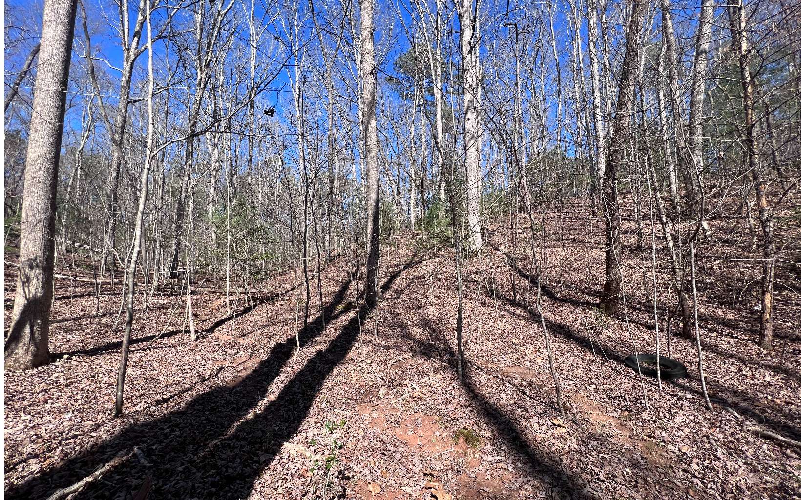 22 East Goldmine Road Ellijay, GA 30536 - Photo 16 of 40 Additional View