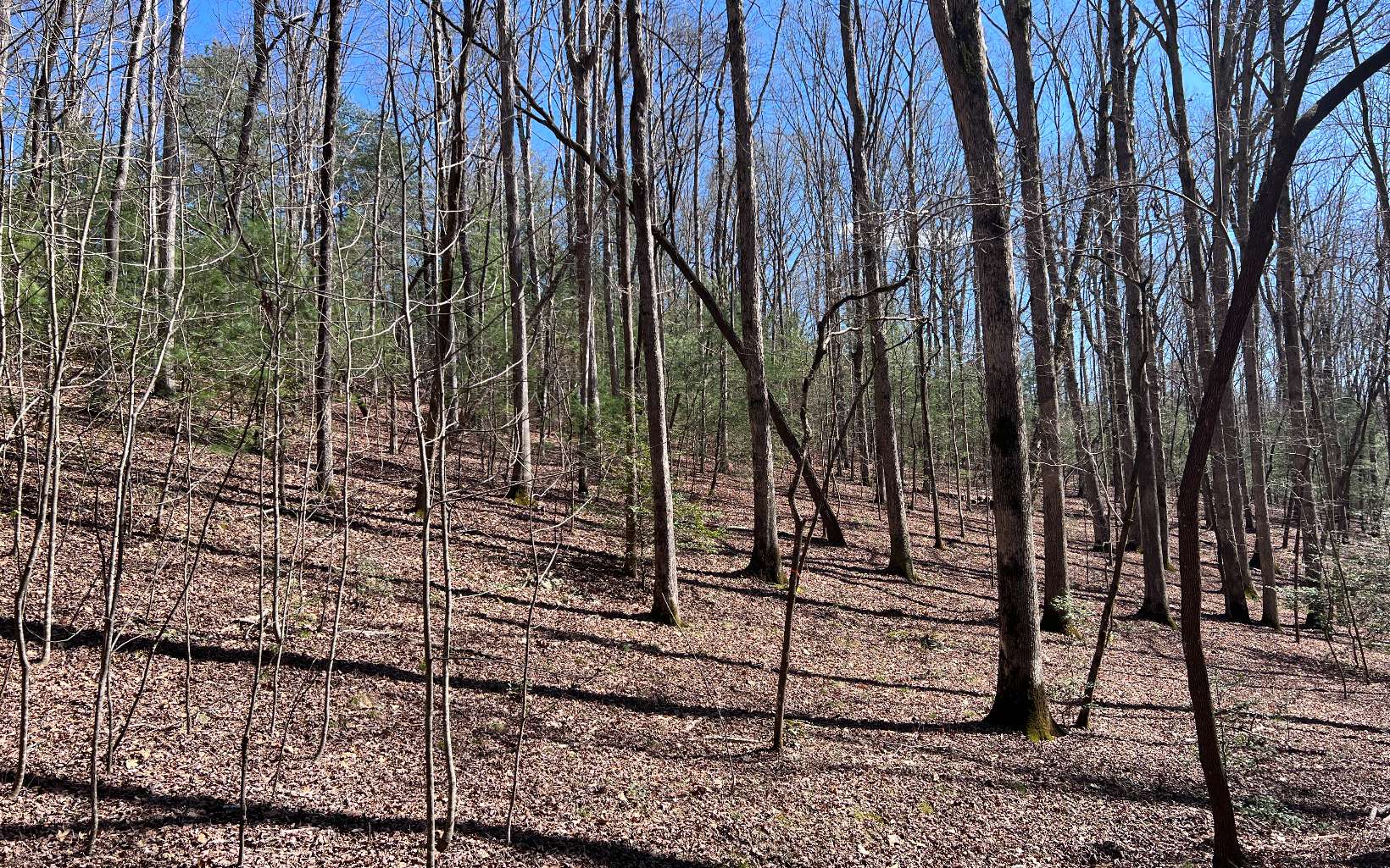 22 East Goldmine Road Ellijay, GA 30536 - Photo 17 of 40 Additional View