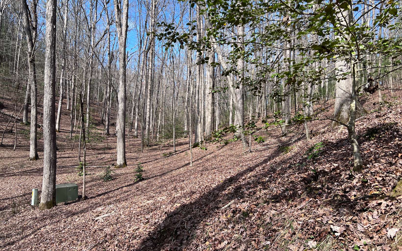 22 East Goldmine Road Ellijay, GA 30536 - Photo 18 of 40 Additional View
