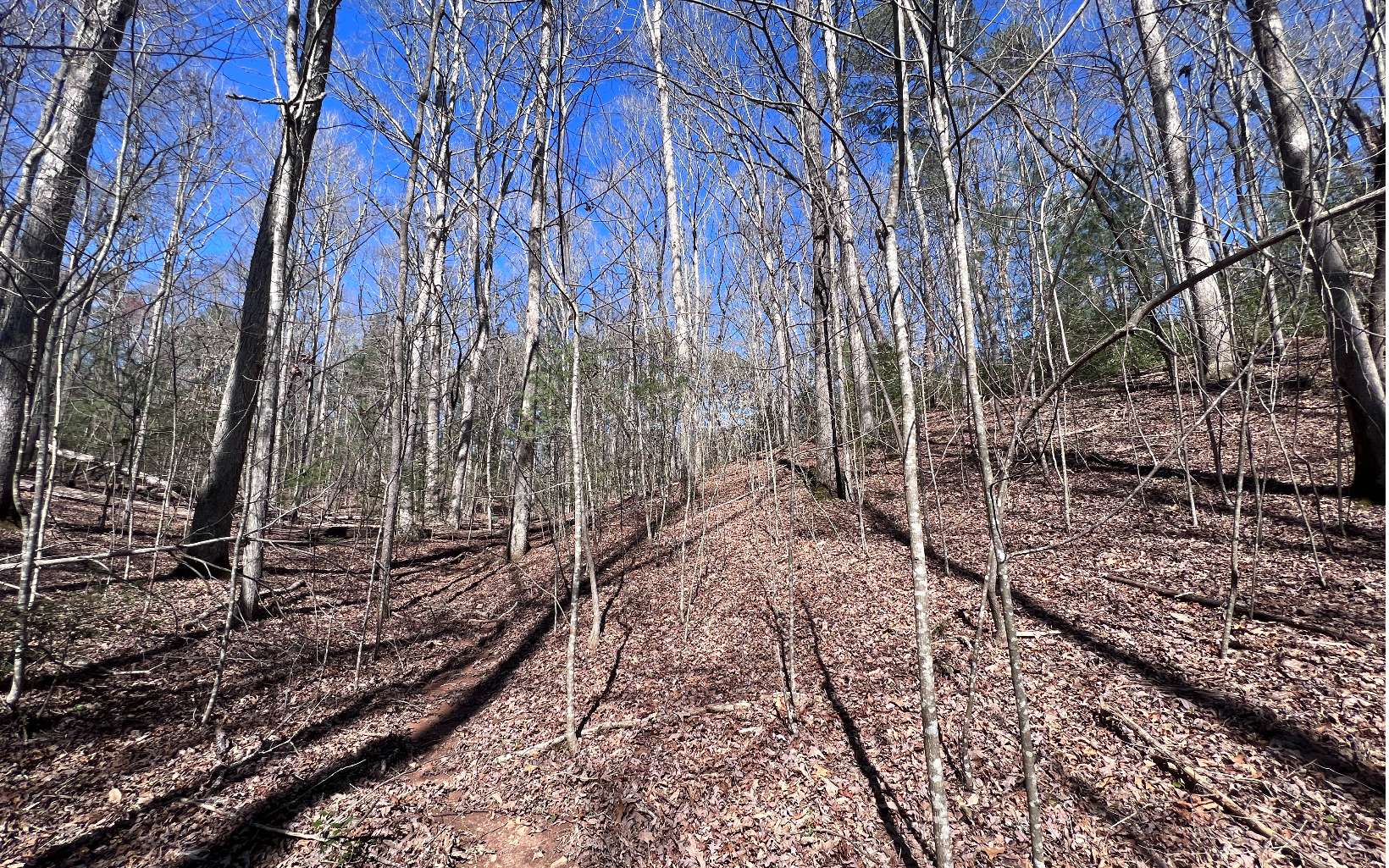 22 East Goldmine Road Ellijay, GA 30536 - Photo 19 of 40 Additional View