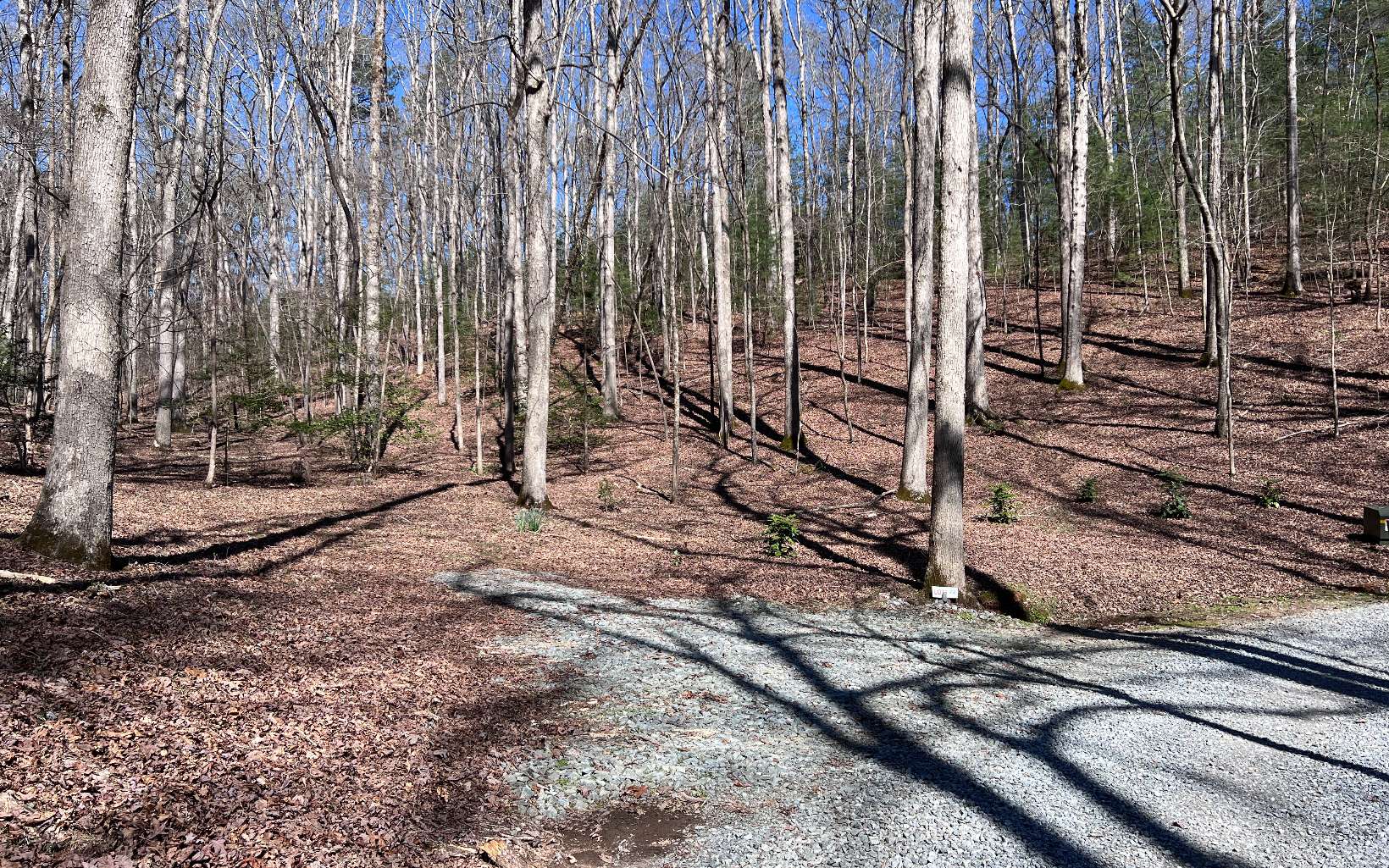22 East Goldmine Road Ellijay, GA 30536 - Photo 3 of 40 Additional View