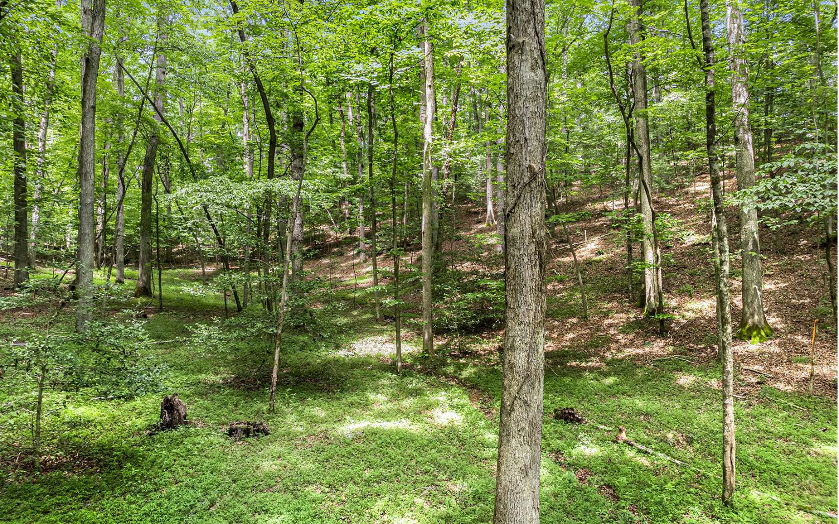 22 East Goldmine Road Ellijay, GA 30536 - Photo 34 of 40 Additional View