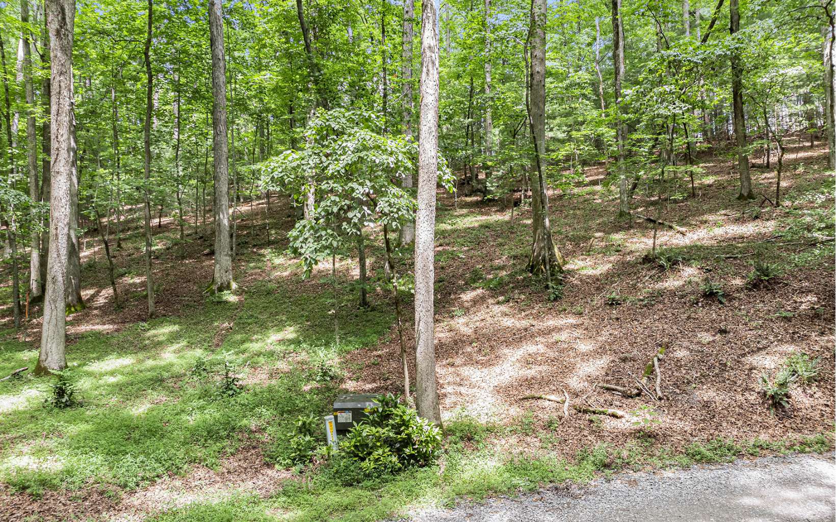 22 East Goldmine Road Ellijay, GA 30536 - Photo 35 of 40 Additional View