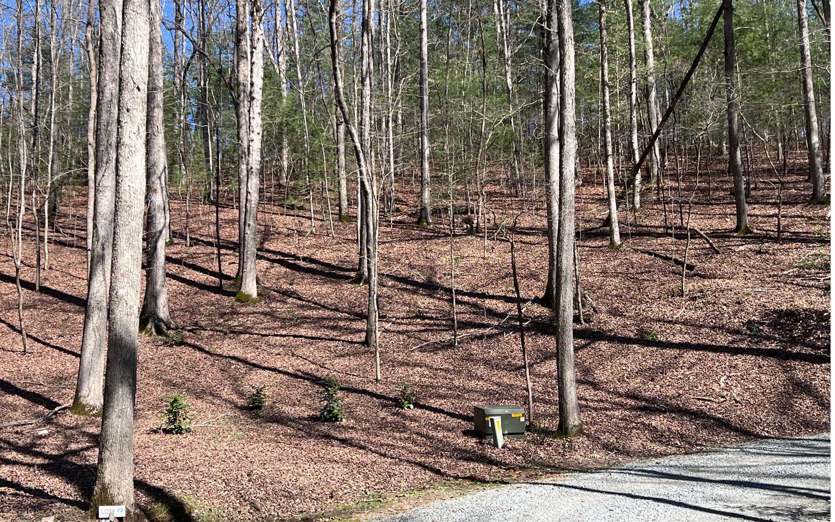 22 East Goldmine Road Ellijay, GA 30536 - Photo 4 of 40 Additional View