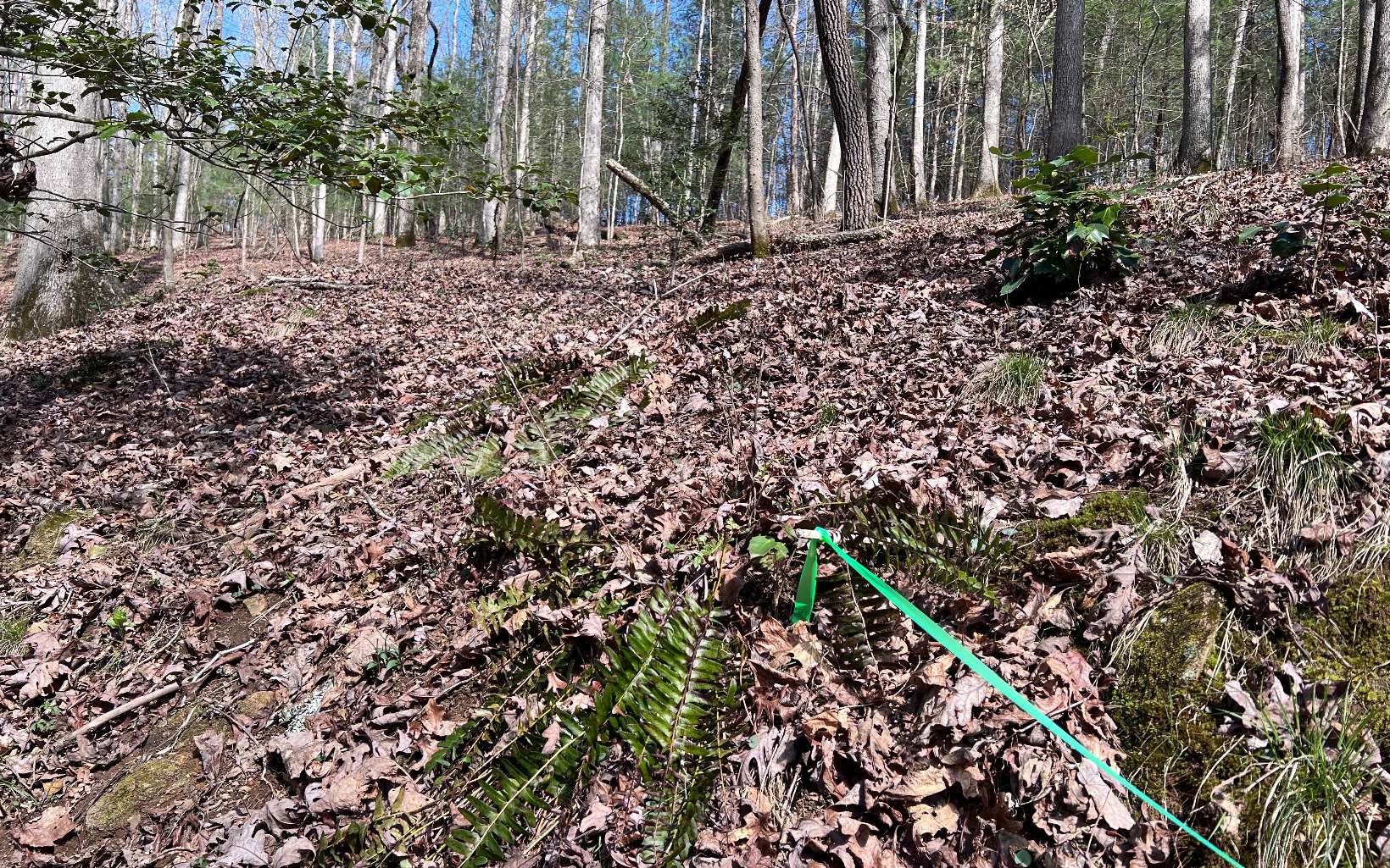 22 East Goldmine Road Ellijay, GA 30536 - Photo 5 of 40 Additional View