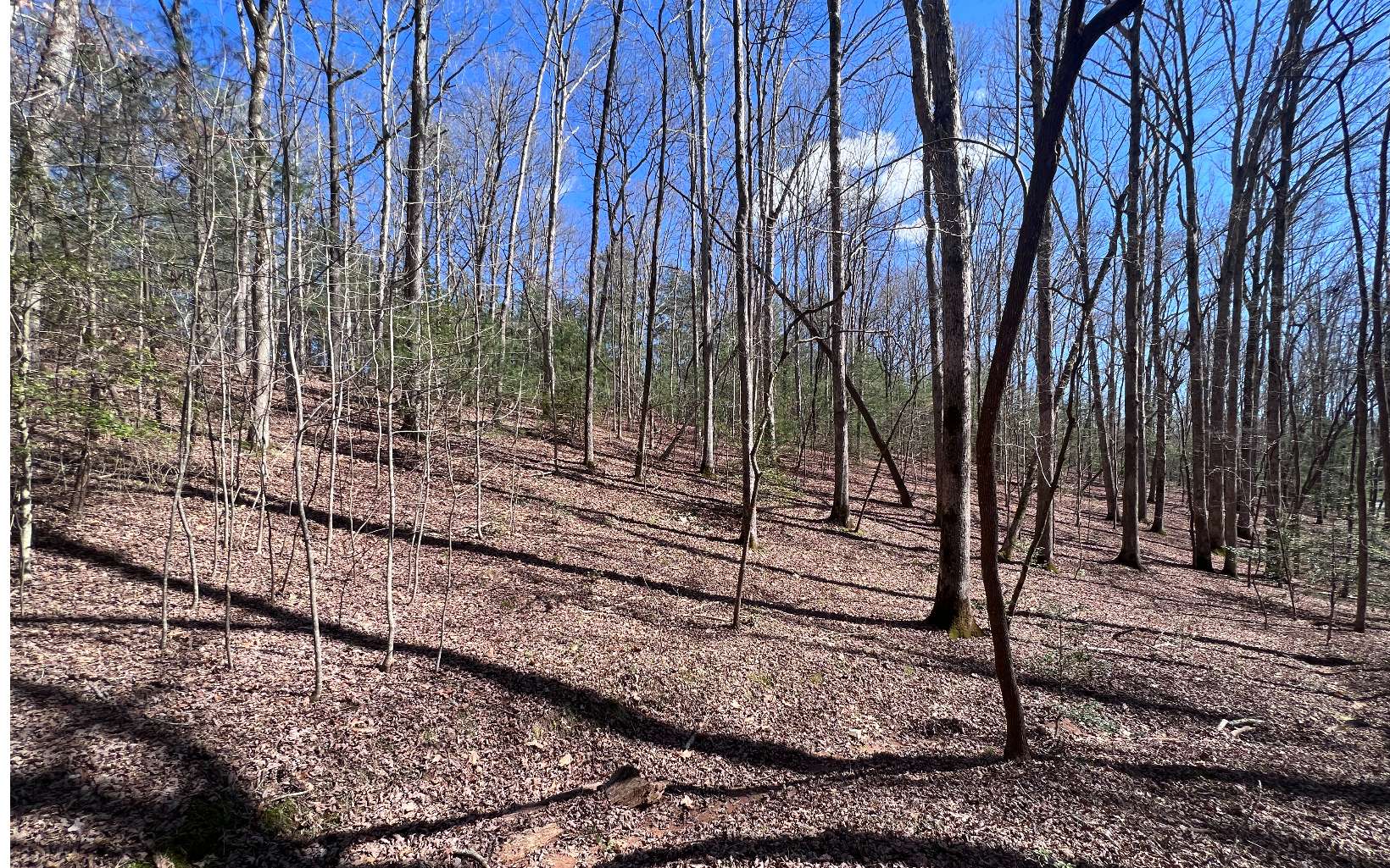 22 East Goldmine Road Ellijay, GA 30536 - Photo 10 of 40 Additional View