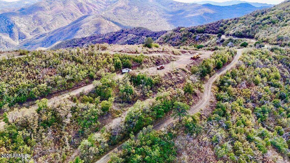 0 East Lincoln Ridge Road Crown King, AZ 86343 - Photo 11 of 25 a view of a area with a yard