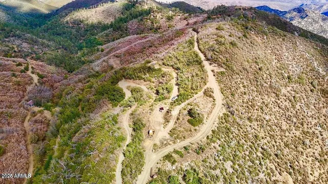 a view of a large mountain with a forest