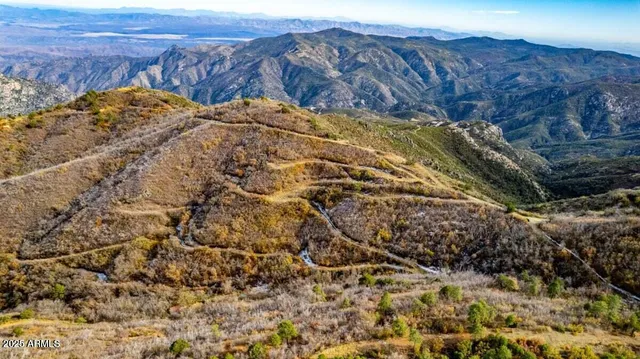 a view of a backyard with wooden fence