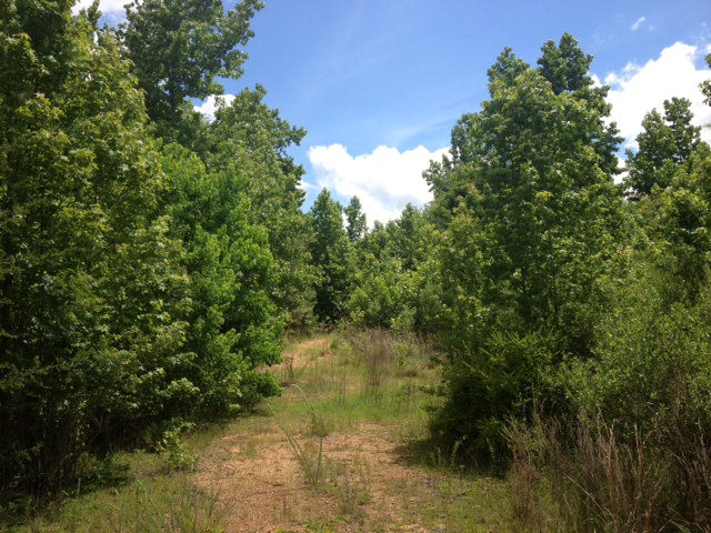1016 Johnston Chapel Road Summit, MS 39666 - Photo 1 of 1 Main View
