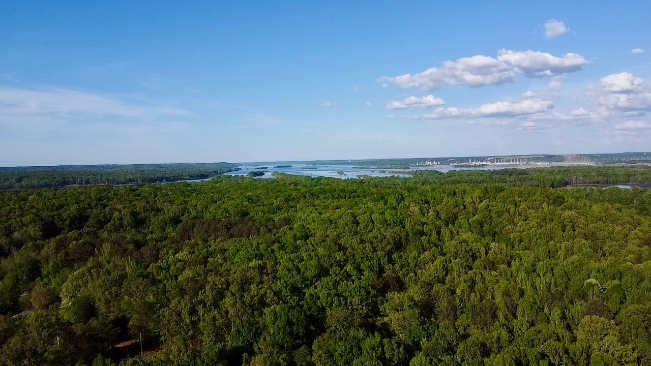 0 Stones Road Camden, TN 38320 - Photo 2 of 28 a view of a field with a tree in it