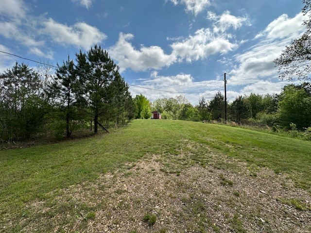 0 Stones Road Camden, TN 38320 - Photo 21 of 28 a view of a garden with a tree