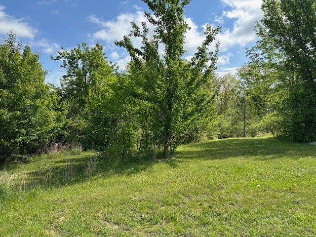 0 Stones Road Camden, TN 38320 - Photo 25 of 28 a view of outdoor space and yard