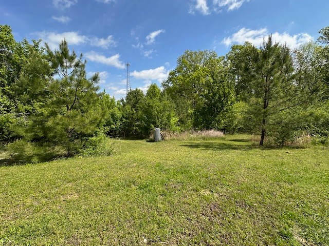 0 Stones Road Camden, TN 38320 - Photo 26 of 28 a view of outdoor space with trees all around