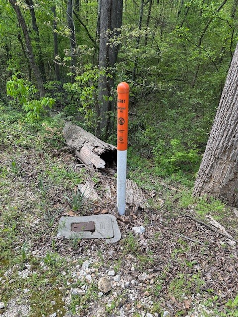 0 Stones Road Camden, TN 38320 - Photo 27 of 28 a front view of a house with a yard