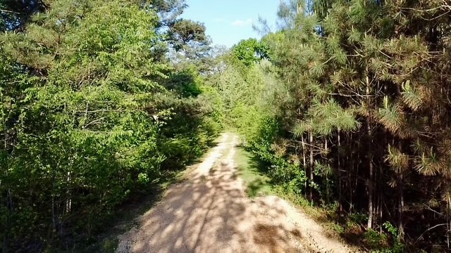0 Stones Road Camden, TN 38320 - Photo 3 of 28 a view of a yard with plants and a small yard