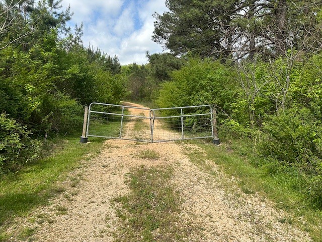 0 Stones Road Camden, TN 38320 - Photo 5 of 28 a backyard of a house with table and chairs