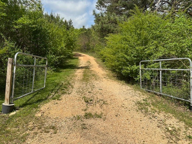 0 Stones Road Camden, TN 38320 - Photo 6 of 28 a backyard of a house with lots of green space