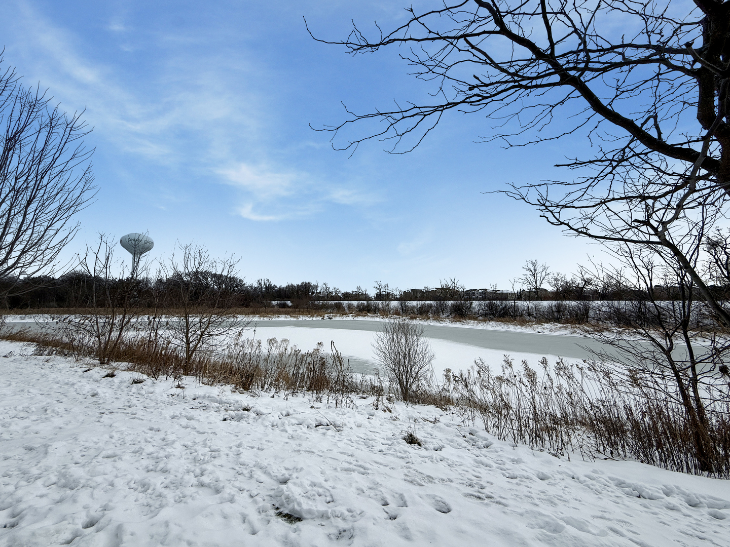 2385 Upland Road Pingree Grove, IL 60140 - Photo 31 of 37
