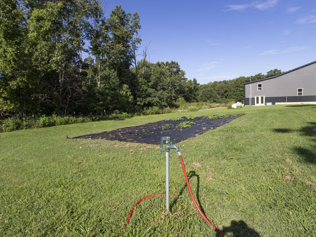 7 Route Ava, MO 65608 - Photo 86 of 111 Garden Area Near House Two