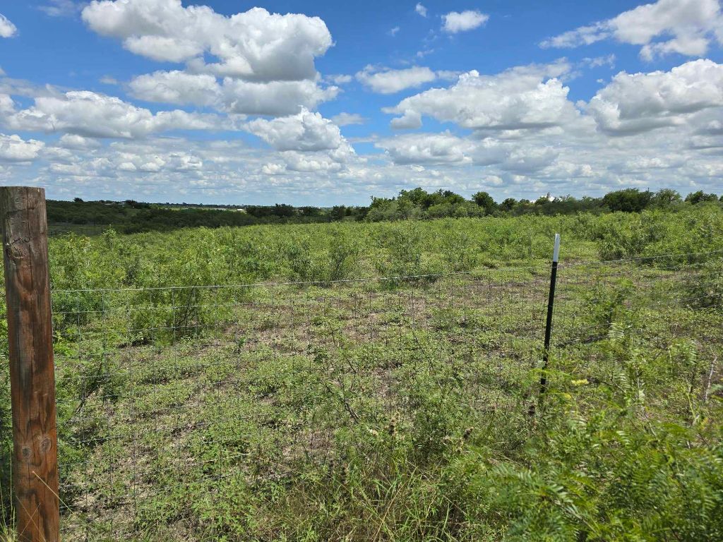 414 3 G Ranch Road Kyle, TX 78640 - Photo 4 of 4 a view of a bunch of trees and houses