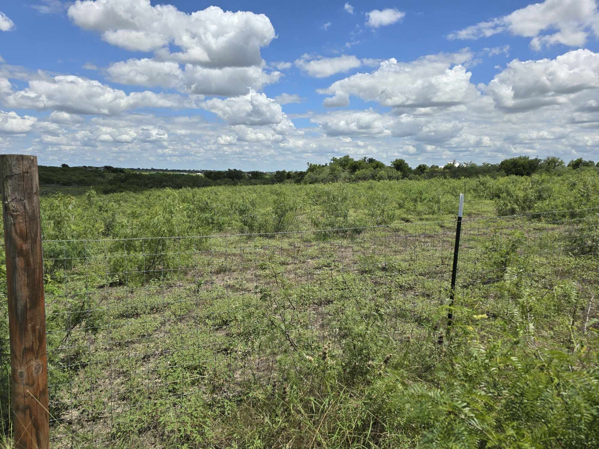 414 3 G Ranch Road Kyle, TX 78640 - Photo 4 of 4 a view of a bunch of trees and houses