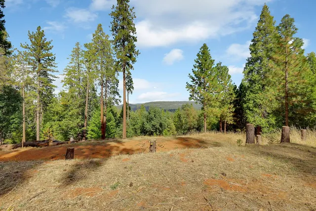 $249,000 | 11021 Pittsburg Mine Road, Nevada City, CA 95959