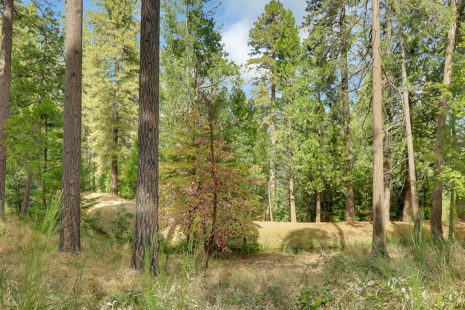11021 Pittsburg Mine Road Nevada City, CA 95959 - Photo 20 of 29