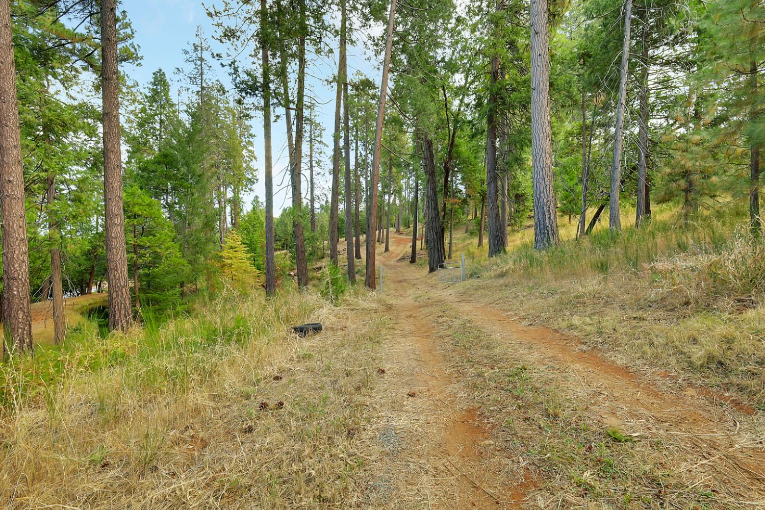 11021 Pittsburg Mine Road Nevada City, CA 95959 - Photo 22 of 29