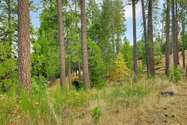 $249,000 | 11021 Pittsburg Mine Road, Nevada City, CA 95959