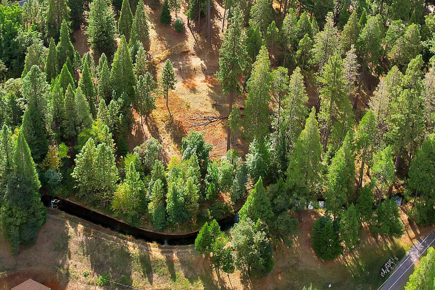 11021 Pittsburg Mine Road Nevada City, CA 95959 - Photo 26 of 29