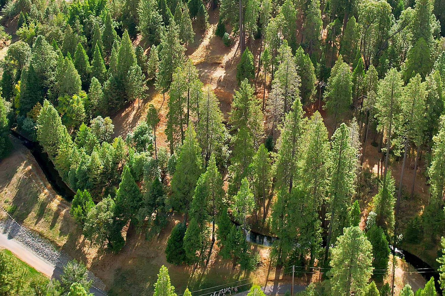 11021 Pittsburg Mine Road Nevada City, CA 95959 - Photo 27 of 29