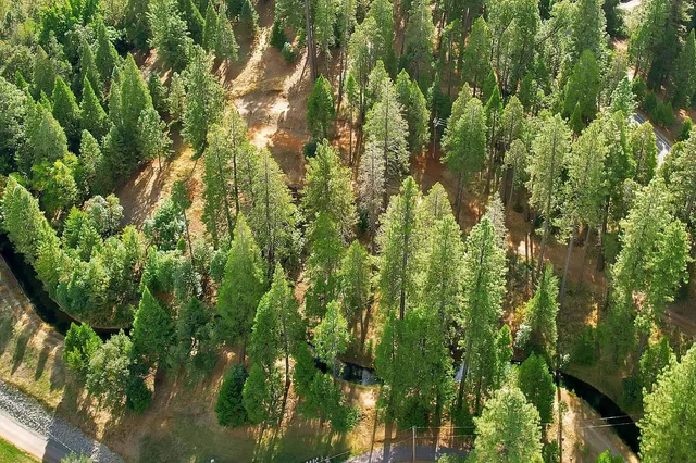 $249,000 | 11021 Pittsburg Mine Road, Nevada City, CA 95959