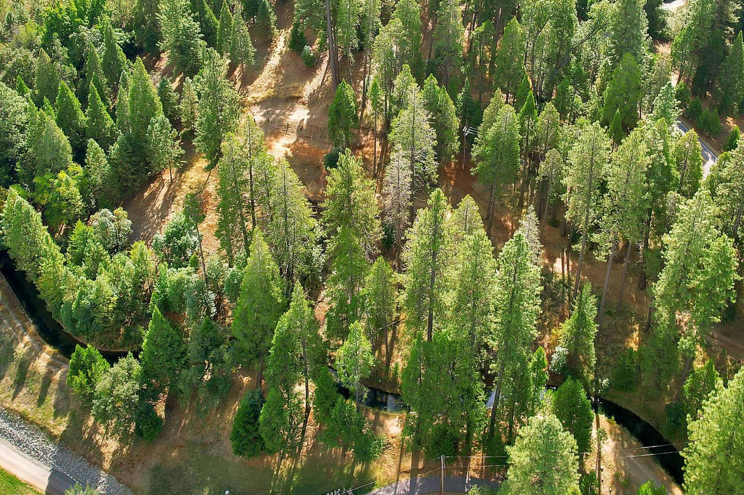 11021 Pittsburg Mine Road Nevada City, CA 95959 - Photo 28 of 29