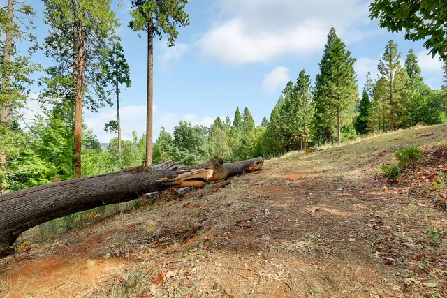 $249,000 | 11021 Pittsburg Mine Road, Nevada City, CA 95959
