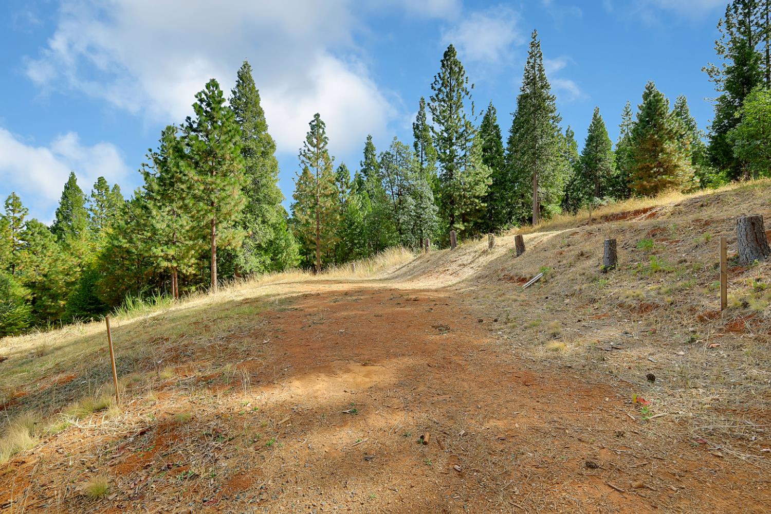 11021 Pittsburg Mine Road Nevada City, CA 95959 - Photo 8 of 29