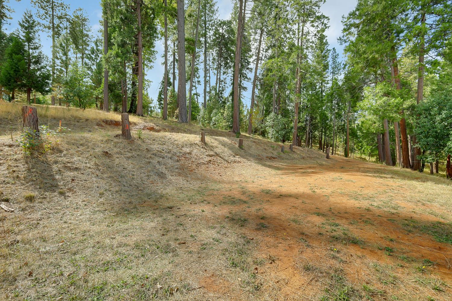 11021 Pittsburg Mine Road Nevada City, CA 95959 - Photo 9 of 29