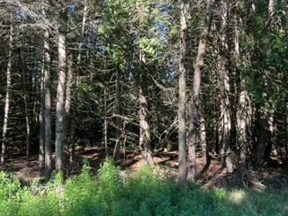 Tbd West Bues Point Road Baileys Harbor, WI 54202 - Photo 2 of 3 Gallery Image 2
