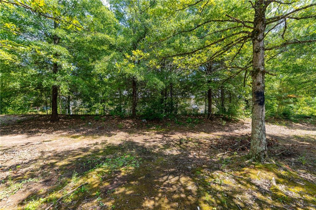 3017 Waldrop Circle Decatur, GA 30034 - Photo 23 of 52 a backyard of a house with lots of green space