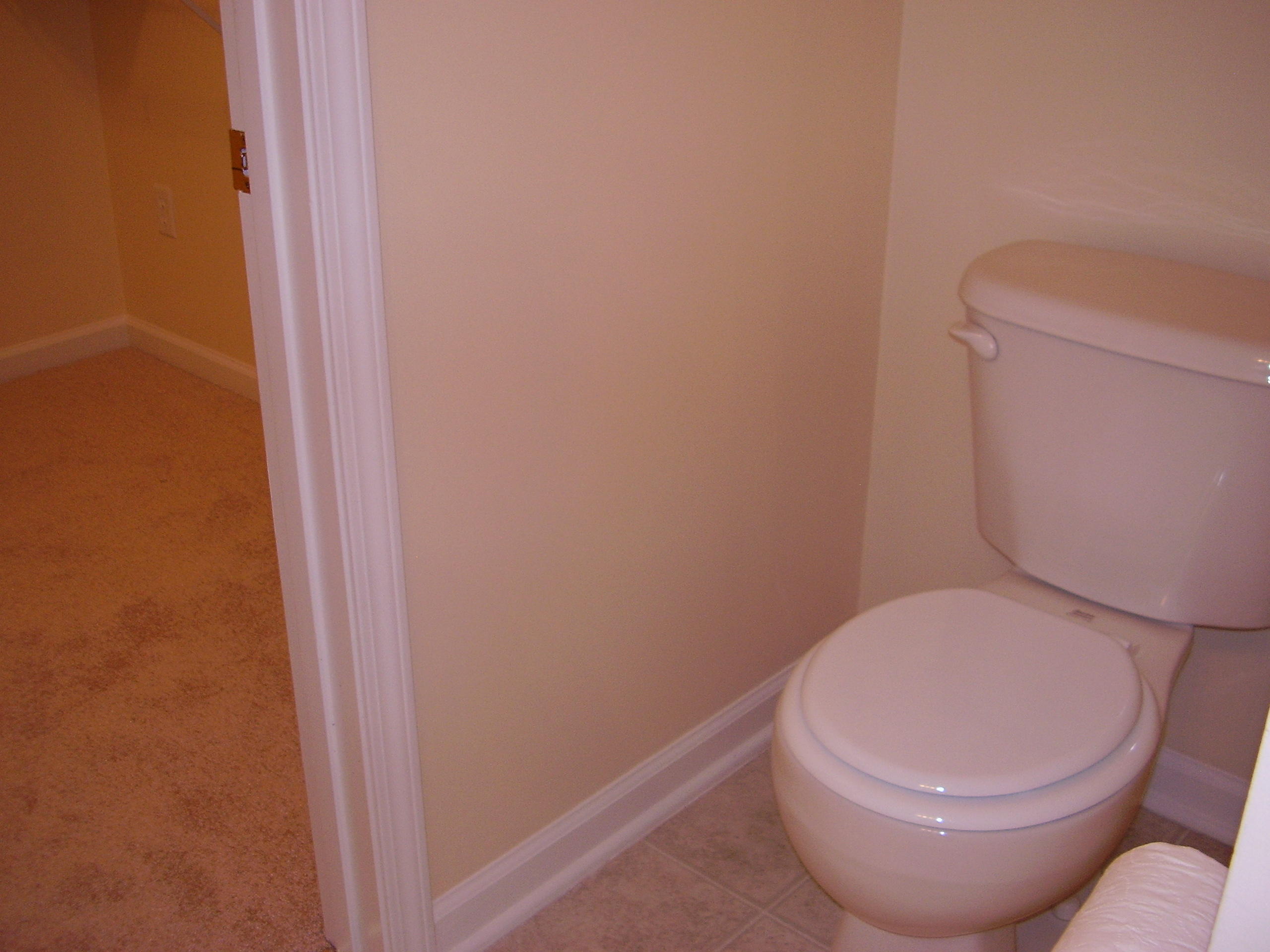 9264 Ayscough Road Summerville, SC 29485 - Photo 13 of 28 P1010641 - Copy