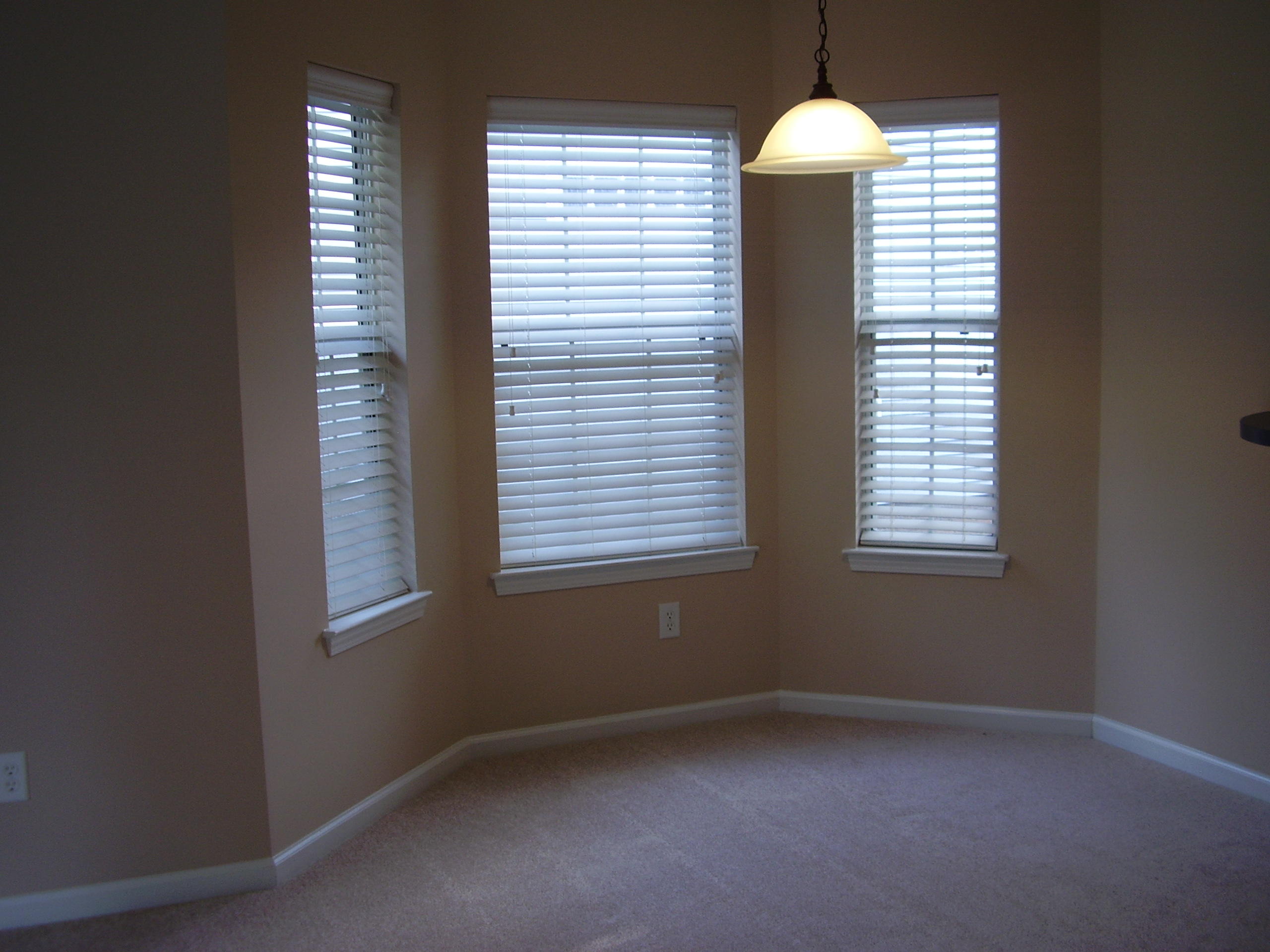 9264 Ayscough Road Summerville, SC 29485 - Photo 6 of 28 P1010646 - Copy - Copy