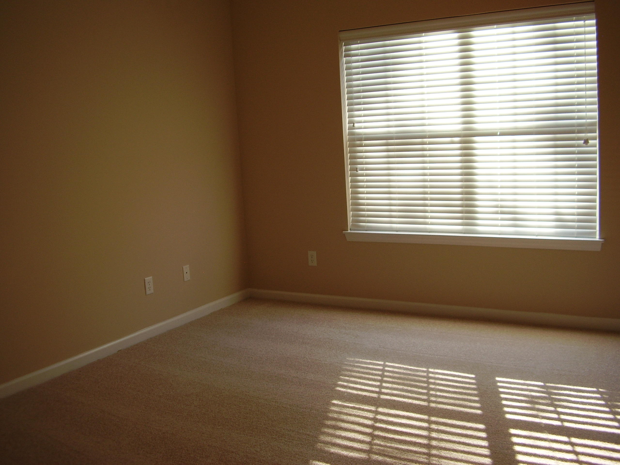 9264 Ayscough Road Summerville, SC 29485 - Photo 9 of 28 P1010645 - Copy - Copy
