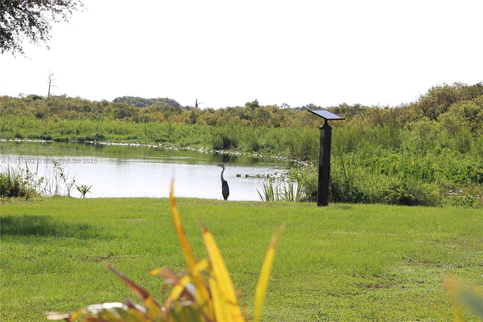 37511 Washington Loop Road Punta Gorda, FL 33982 - Photo 44 of 50 Blue Heron