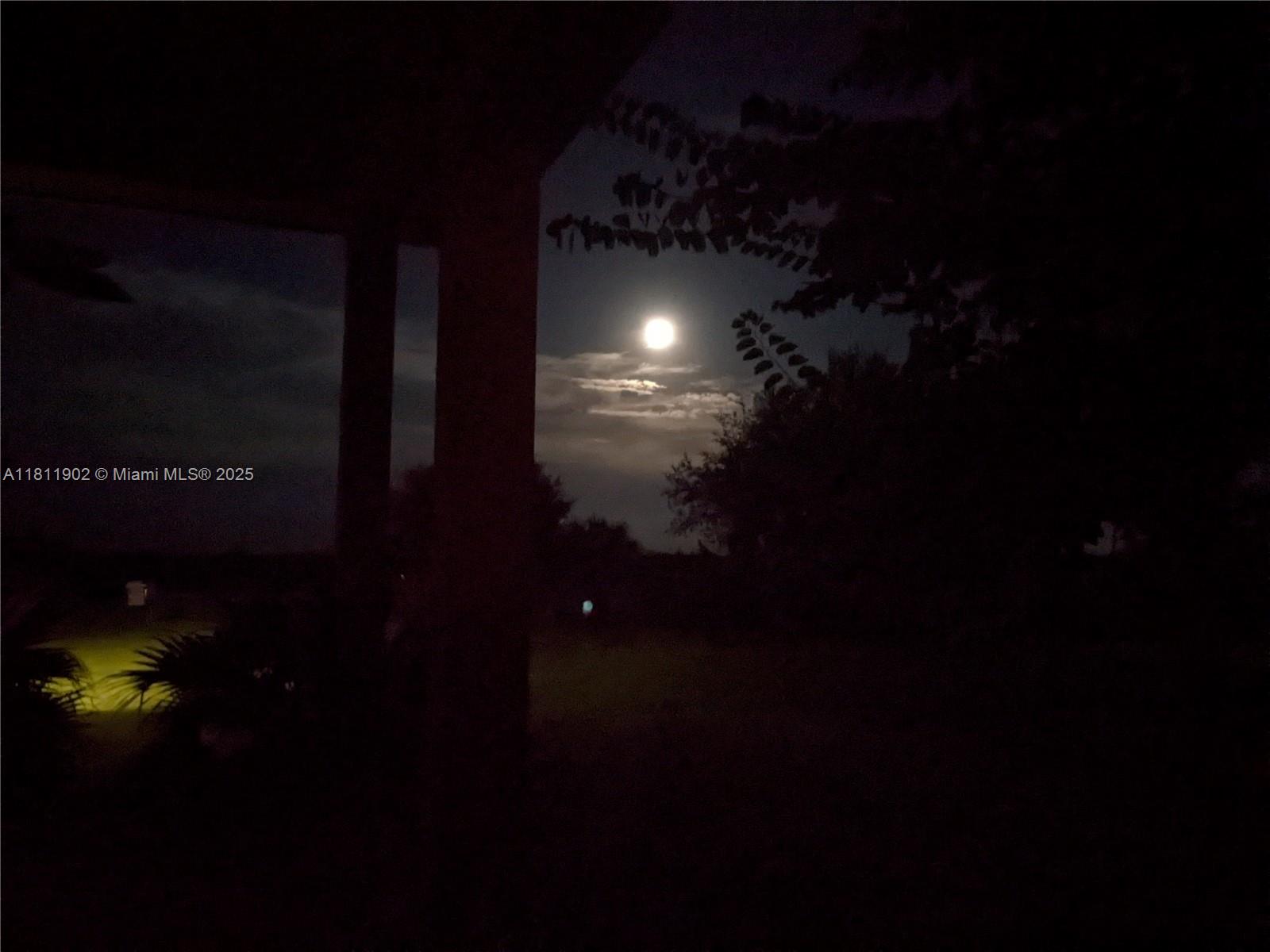 37511 Washington Loop Road Punta Gorda, FL 33982 - Photo 46 of 50 Full Moon