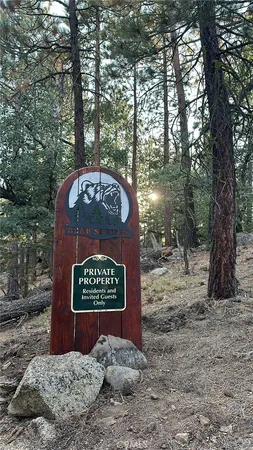 a sign that is sitting in the middle of forest